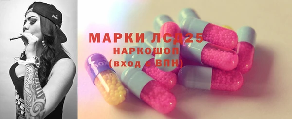 ешки Алексин