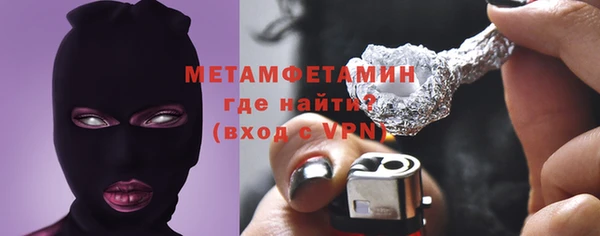 индика Нязепетровск