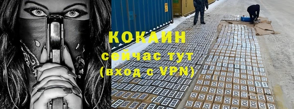 ешки Алексин