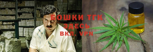 ешки Алексин